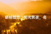 胡杨组合，阳光男孩，名字大揭秘