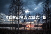 《猫咪起名吉凶测试：揭秘猫咪名字运势》