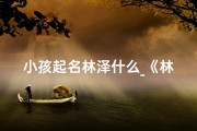 小孩起名林泽什么_《林泽童趣：探寻童年的无尽魅力》