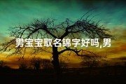 男宝宝取名锦字好吗,男孩锦字起名