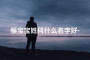 猴宝宝姓何什么名字好-猴宝宝姓何什么名字好听男孩