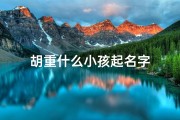 胡重什么小孩起名字