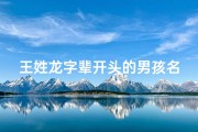 王姓龙字辈开头的男孩名字;《龙腾盛世，王姓男孩龙年吉祥取名大全》