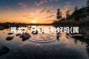 属龙六月份运势好吗(属龙人六月财运揭秘：运势飙升，财源滚滚)