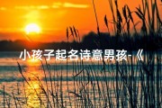小孩子起名诗意男孩-《童梦诗意，男孩名字里的星辰大海》