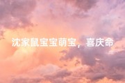 沈家鼠宝宝萌宝，喜庆命名：沈悦熙瑶