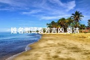 姓名测试袁芳吉凶,袁洁姓名测试