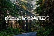 给宝宝起名字没有用五行(2025年五行缺木的属猪宝宝如何取名)