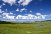 中国14号数字吉凶查询大全_《揭秘中国14号数字吉凶：精准查询指南》