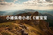 小猪佩奇小名(《猪宝宝佩奇：快乐成长记》)