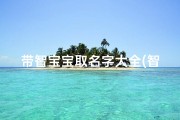 带智宝宝取名字大全(智字取名男孩有意义取名男孩名字大全)