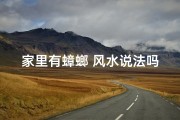 家里有蟑螂 风水说法吗