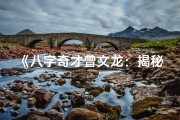 《八字奇才曾文龙：揭秘命运之谜》