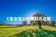 《兔宝宝小字辈取名攻略：创意满满的名字大集合》