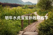 明年水虎宝宝孙姓取名字