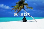 葛小孩取名