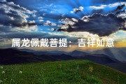 属龙佩戴菩提：吉祥如意，龙腾四海