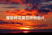 屋前种花屋后种树图片_屋头种花风水讲究，家居美观又吉祥