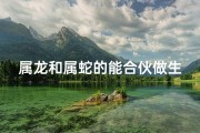 属龙和属蛇的能合伙做生意吗_属龙属蛇能携手共进？合伙奥秘大揭秘