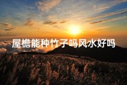 屋檐能种竹子吗风水好吗、屋檐下能不能种植物