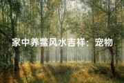 家中养鳖风水吉祥：宠物鳖添福添寿