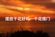 摆放干花好吗—干花摆门口，风水旺家宅
