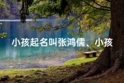 小孩起名叫张鸿儒、小孩起名叫张鸿儒好吗