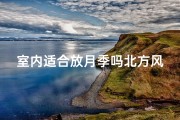 室内适合放月季吗北方风水(北方风水巧搭配：室内月季花开富贵)