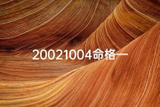 20021004命格—2022命格