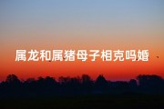 属龙和属猪母子相克吗婚姻如何,属龙属猪母子相克？婚姻前景如何？