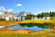 狗儿子起名、《狗小孩男孩名字大全：温馨宠物风》