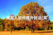 属龙人如何提升财运(属龙人如何提升财运和财运)