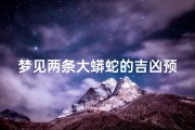 梦见两条大蟒蛇的吉凶预兆、梦到两条大蟒蛇是什么寓意