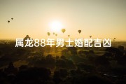 属龙88年男士婚配吉凶揭秘：最佳属相大揭秘