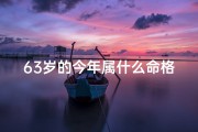 63岁的今年属什么命格,63岁今年属什么生肖