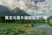 属龙与属牛婚姻配对：相合还是相冲？