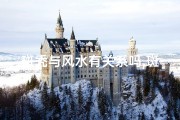 斑秃与风水有关系吗,斑秃风水上什么预兆