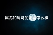 属龙和属马的婚姻怎么样 好吗(属龙女与属马男：婚姻相克之谜)