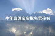 牛年曹姓宝宝取名男孩名字