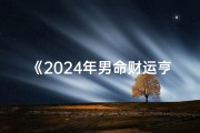 《2024年男命财运亨通八字解析》
