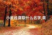 小孩姓龚取什么名字,龚姓宝宝起名：传承家族，智慧启航