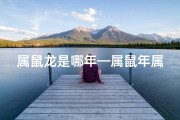 属鼠龙是哪年—属鼠年属龙时辰：揭秘生肖运势之黄金时刻