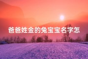 爸爸姓金的兔宝宝名字怎么取