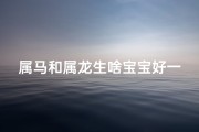 属马和属龙生啥宝宝好一点-属马属龙生啥宝宝好？揭秘最佳生肖组合