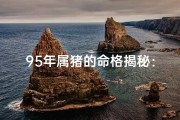 95年属猪的命格揭秘：猪年生肖运势大解析