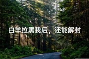 白羊拉黑我后，还能解封吗？