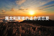 属龙和属猪的适合谈恋爱吗