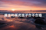 属龙和属虎孩子合不合婚—属龙和属虎要个属什么的孩子