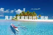 属龙之家藏摇钱树？揭秘财运秘籍