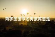 芮字宝宝取名男孩寓意是什么